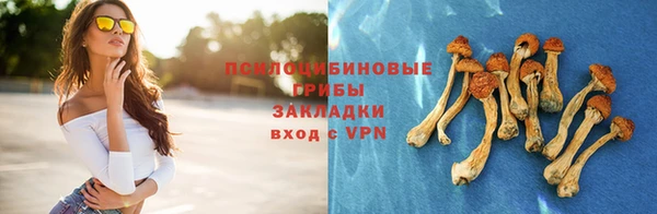 таблы Мегион