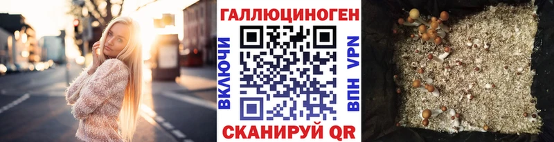 KRAKEN вход  Малая Вишера  сайты даркнета как зайти  Псилоцибиновые грибы прущие грибы 